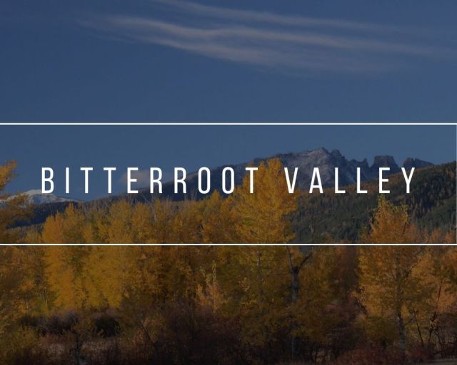 Bitterroot Events